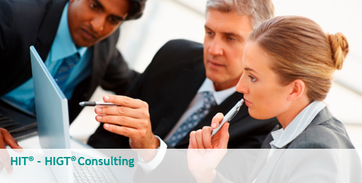HIT® - HIGT® Consulting